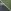 Blue/Green Vehicle