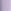 Purple Back Print