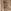 Neutrale Farbe