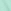 Spearmint Light Green