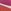 Hot Coral Off White Fuschia