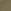 Desert Cactus Green