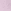 Lilac Purple