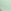 Pretty Mint Green