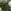 Blossom Botanical Green