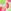 Pink/Green