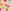 Pink/Green