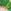 Green/Red