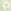 Light Green/ Yellow