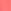 Pink Peach Blossom