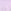 Lilac Purple