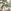Ecru/Green Palm