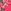 pink tropical print