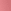 Tea Rose
