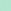 Mint Foam