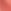 Crimson Bliss Coral