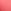 Wild Salmon Pink Lace Trim