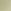 Fall Sage Green