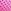 Sizzling Strawberry Pink Polka Dots