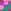 Green/Pink