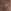 Chocolate Brown
