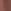 Brown Horse