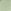 Dusky Green