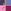 Pink/Navy Print