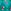 Green Nutcracker