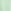Cucumber Green