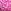 Pink Fire