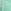 Sea Green Hibiscus