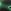 Black/Illusion Green