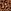 Leopard Brown