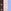 Chocolate Spot/Blue/Pink
