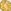 Gold Scorpio