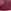 Red Bordeaux and Pink Beet
