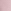 Pink Tulip