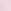 Pink Tulip