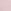 Pink Tulip