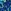 Cobalt Blue Tropical Floral