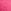 Pink Rose
