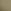 Desert Cactus Green
