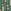 Bottle Green Rust