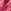 Pink/Red Shell Print