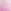 Velvet Petals Daydream