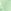 Green Apple
