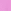 Pink Pomegranate