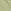 Khaki Green