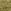 SageGold